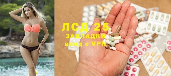 амф Богданович