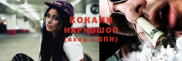 амф Богданович