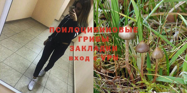 амф Богданович