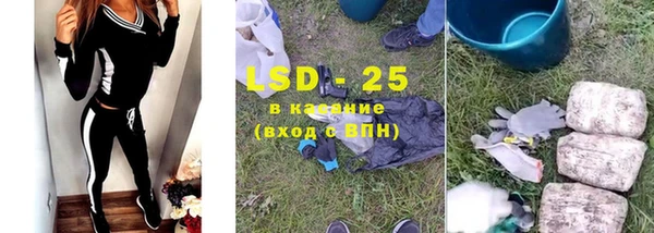 амф Богданович