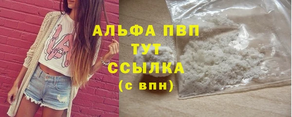 PSILOCYBIN Богородицк