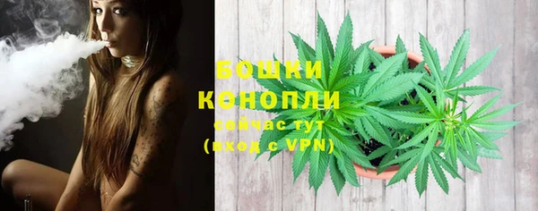 PSILOCYBIN Богородицк