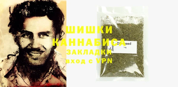 PSILOCYBIN Богородицк