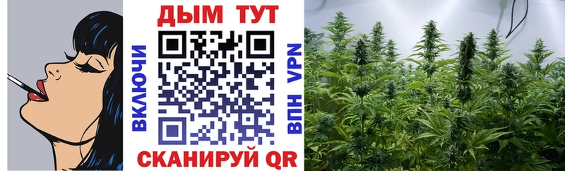 закладки  Подольск  Канабис конопля 